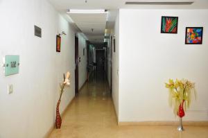new delhi