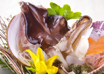 the gran resort amanohashidate