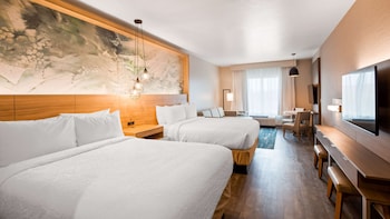 best western plus settlers point