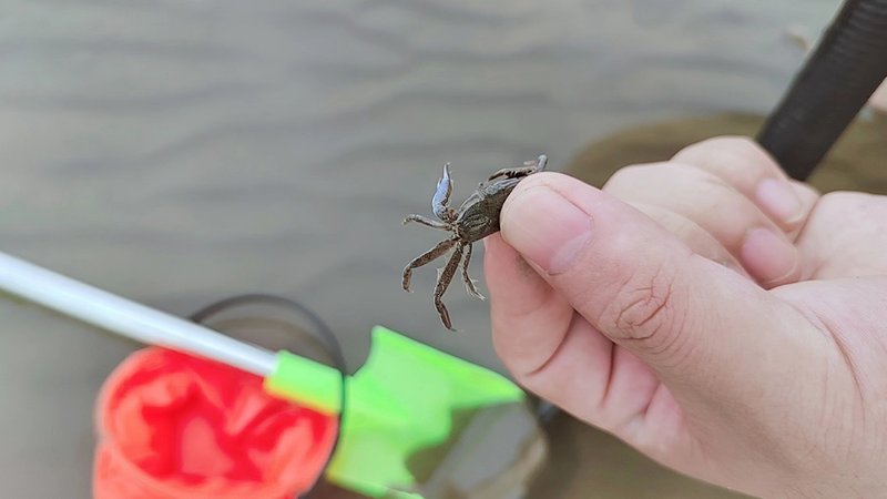 holiday inn shanghai dishui lake an ihg hotel