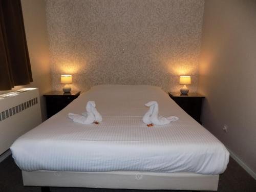 the chocolate suites