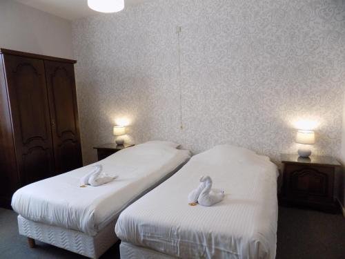 the chocolate suites