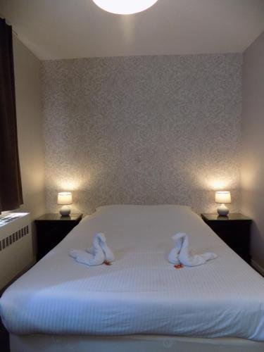 the chocolate suites