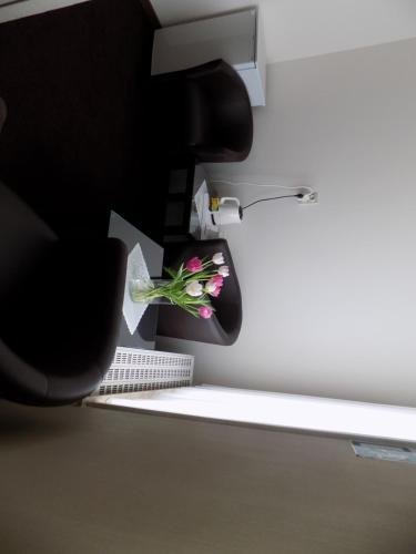 the chocolate suites