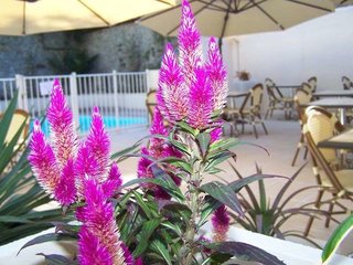 Brit Hotel Confort Auclair Gueret,Gueret>>Creuse,3 star