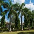 tigers den resort bandhavgarh