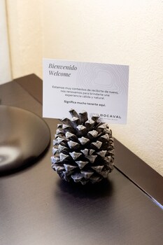 san cristobal de las casas