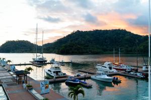 amaka ocean living lodge