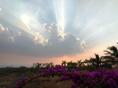 White Sand Retreat,Chiplun>>Alibaug,3 star