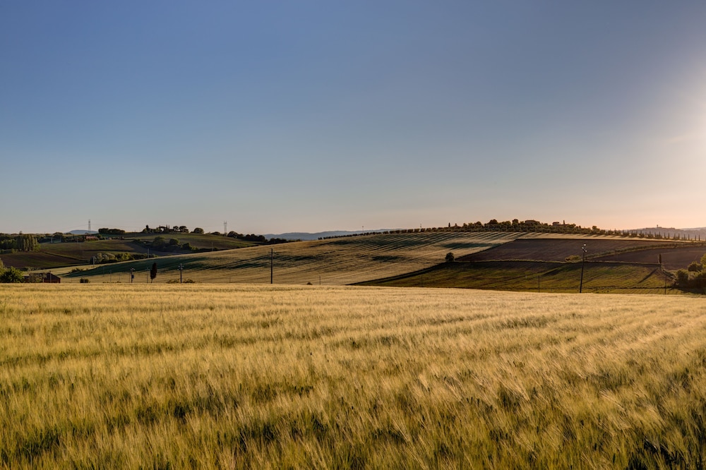 cortona