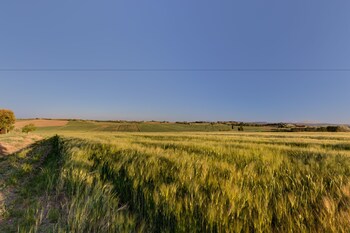 cortona