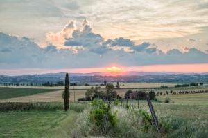 cortona
