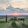 cortona