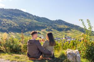 Hotel Rebenhof,Karlsruhe>>Baden-Baden,4 star