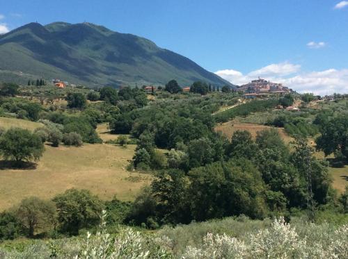 il girasole
