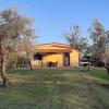 il girasole