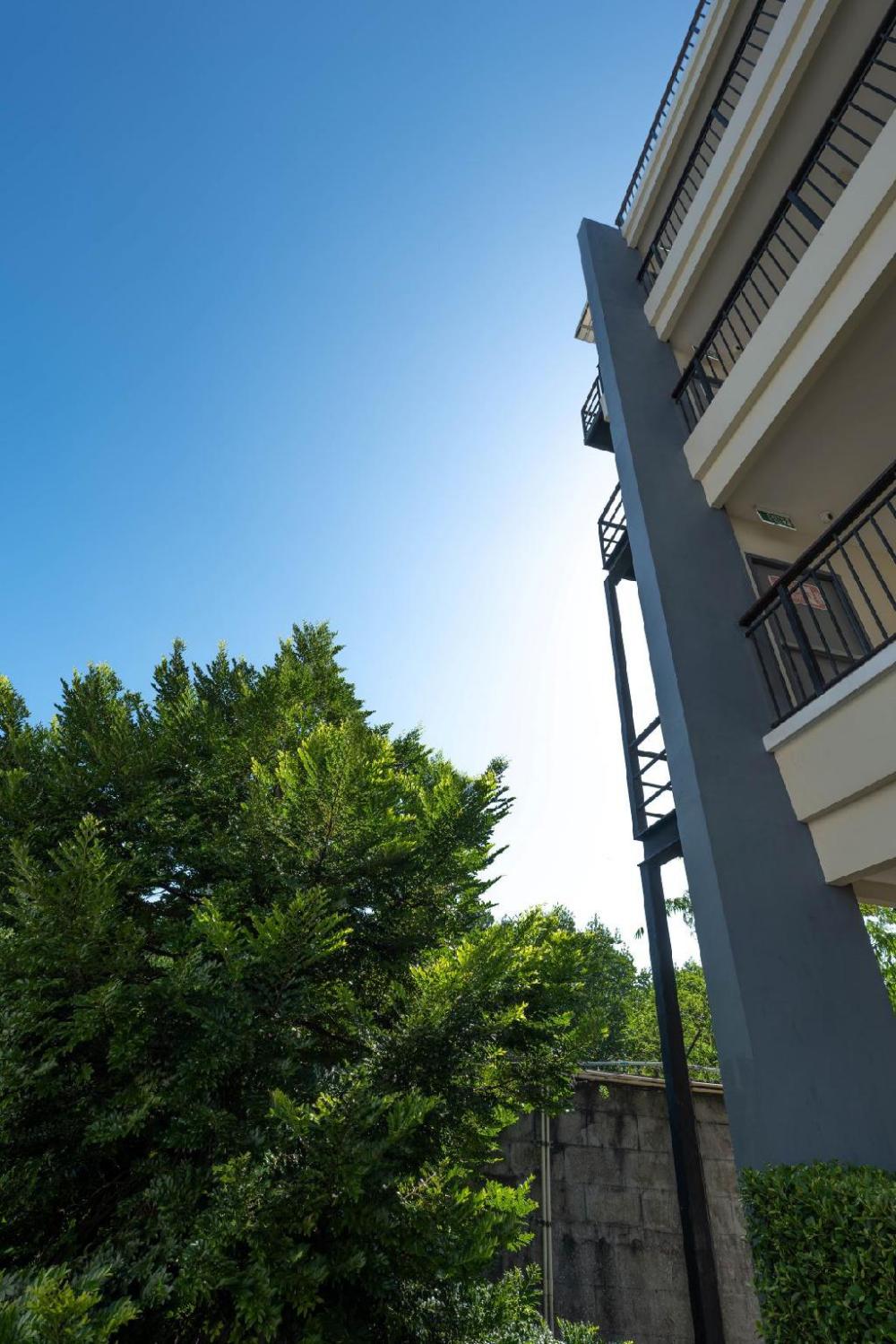 the nest krabi hotel sha plus