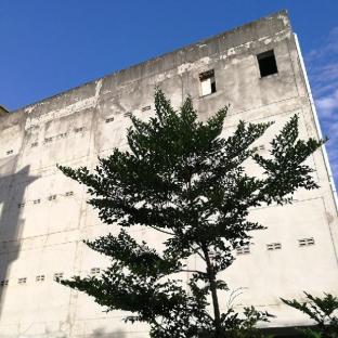 the nest krabi hotel sha plus