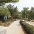 t resort