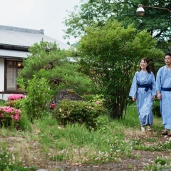 sagiya sensorai