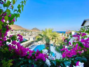 bodrum