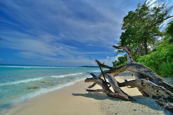 sea shell samssara