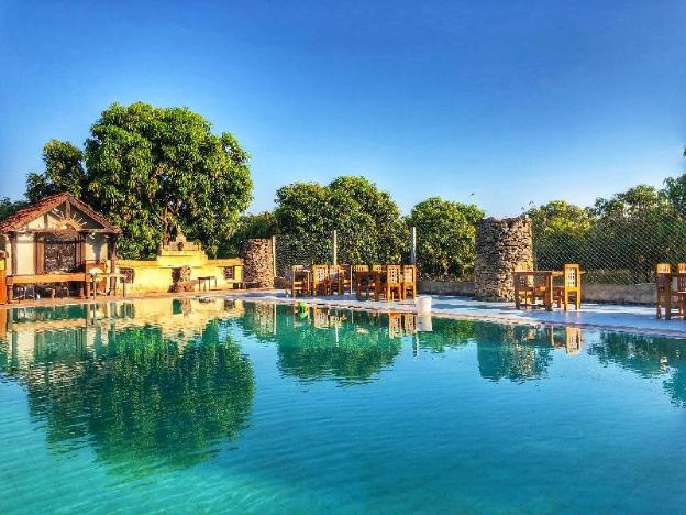 gir lions paw resort with swimming pool