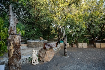 gir lions paw resort with swimming pool