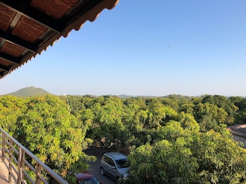 gir lions paw resort with swimming pool