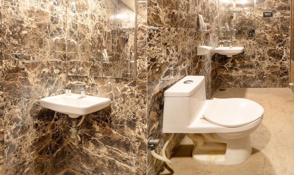 treebo golden swan pammal