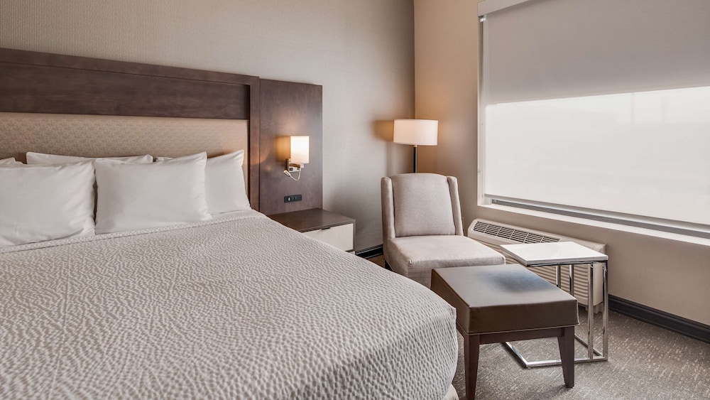 best western plus executive residency rigbys water world hotel