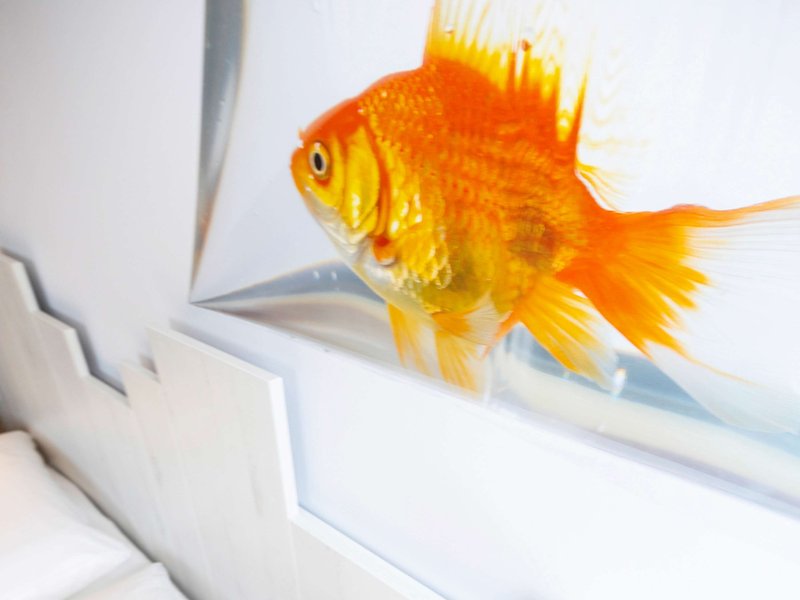 ibis styles thonon les bains hotel