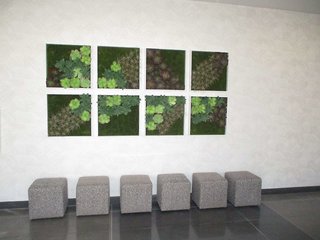 glo best western enid ok downtown convention cente