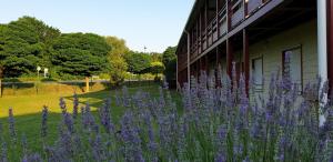 hotel lemand lyon est villefontaine