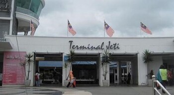 lumut