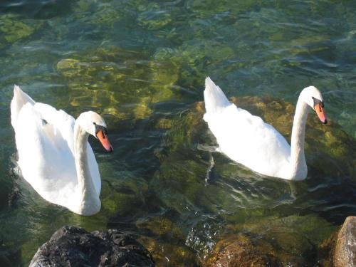 Le Panorama,Haute-Savoie>>Evian-Les-Bains,3 star