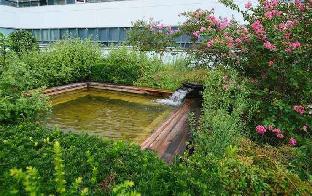 haeundae seacloud hotel residence