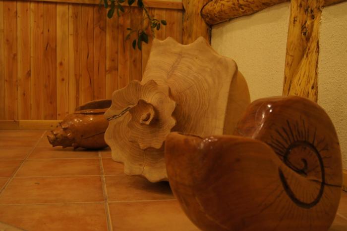 borde lago hotel