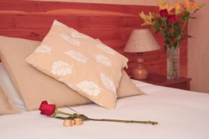 borde lago hotel