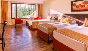 el calafate