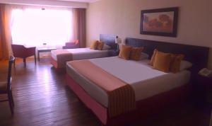 el calafate