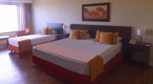 el calafate