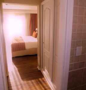 xelena hotel and suites