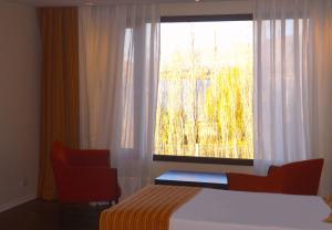 xelena hotel and suites