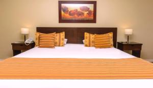 xelena hotel and suites