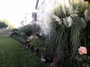 xelena hotel and suites