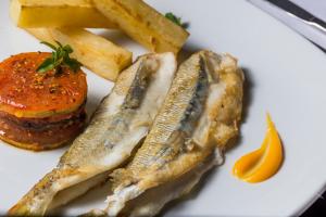 xelena hotel and suites