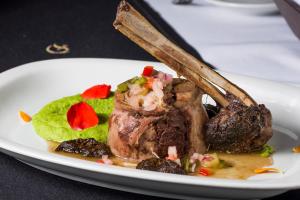 xelena hotel and suites