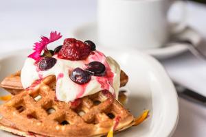 xelena hotel and suites