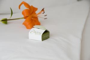 xelena hotel and suites